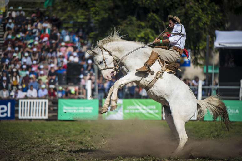No Uruguai também se comemora nestes dias a Semana Criolla, com seus populares eventos com cavalos