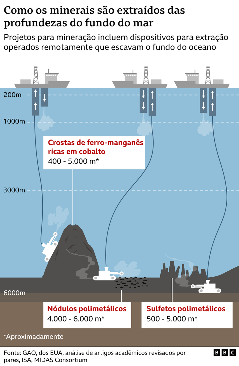 Cientistas e ativistas ambientais dizem que se sabe muito pouco sobre as profundezas dos oceanos — e sobre os danos que a mineração pode causar aos ecossistemas marinhos