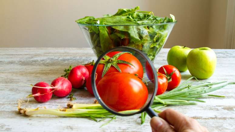 Agrotóxicos aumentam risco de câncer e outras doenças