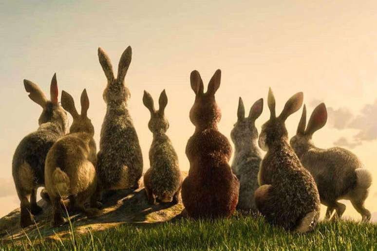 “Em Busca de Watership Down” narra a jornada épica de um grupo de coelhos em busca de um novo lar 