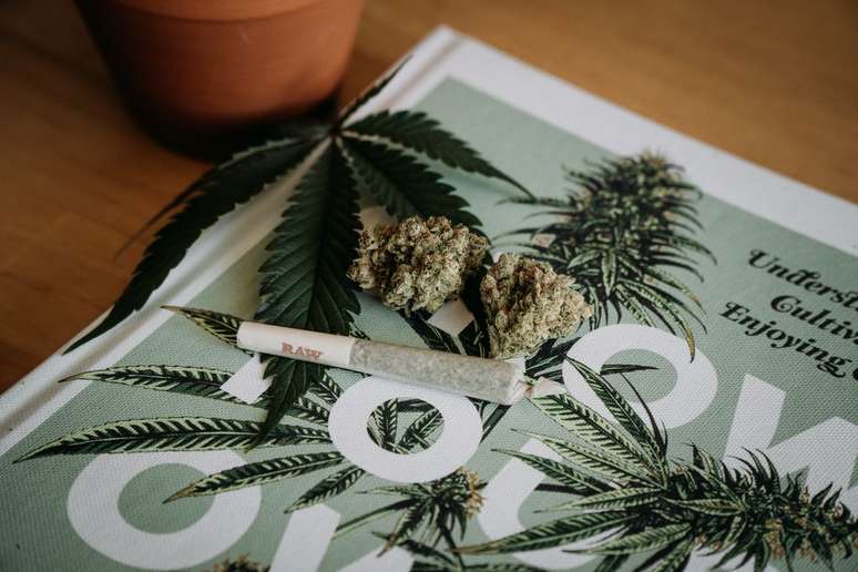 Alemanha libera uso recreativo da maconha (Imagem: Shelby Ireland/Unsplash)