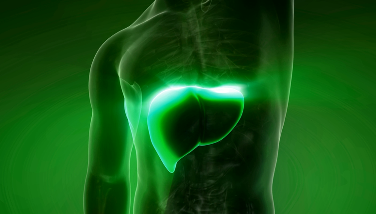 Cientistas induzem a criação de um novo fígado no paciente, sem a necessidade de transplante (Imagem: Icetray/Envato)