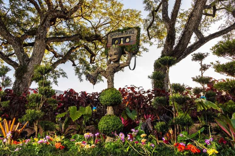 Debuting this year, Groot takes root at the EPCOT International Flower & Garden Festival Feb. 28-May 27, 2024. The “flora colossus” appears near Guardians of the Galaxy: Cosmic Rewind attraction in World Discovery. Groot is one of more than 70 topiaries that has been pruned to perfection for this year’s festival. (Olga Thompson, Photographer)