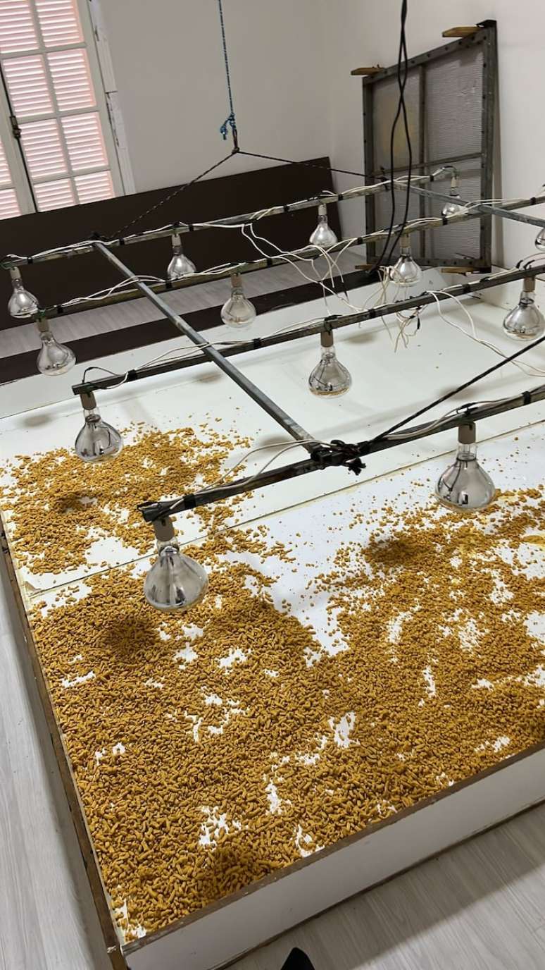 Em um c&ocirc;modo de um dos im&oacute;veis estava instalada uma esp&eacute;cie de estufa com lumin&aacute;ria para secagem de material.