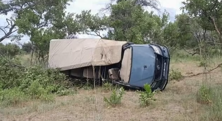 Elefante mata turista de 80 anos, fere cinco e destrói jipe em safari na África