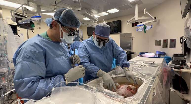 Antes de fechar a caixa, cirurgiões ajustam fígado no sistema que vai mantê-lo vivo fora do corpo (Imagem: Divulgação/Northwestern Medicine)