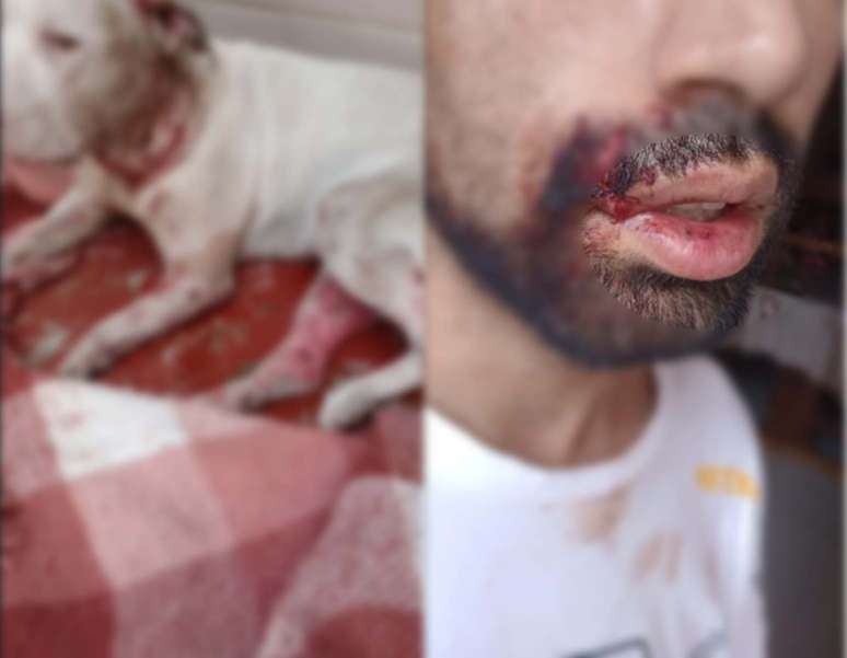Bruno Cardozo e seu pet ap&oacute;s o ataque.
