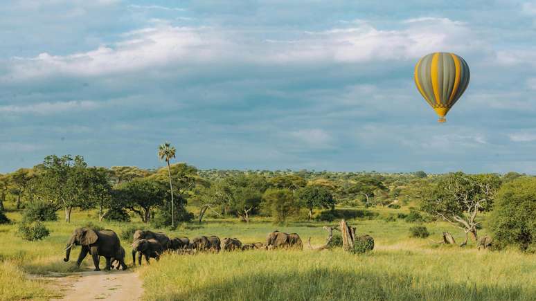 O passeio de balão pelo Serengeti custa US$ 599 por pessoa