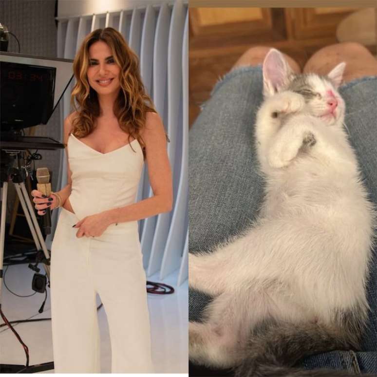 Luciana Gimenez vents after the death of her cat in a domestic accident: ‘I’m devastated’ Luciana Gimenez vents after the death of her cat in a domestic accident: ‘I’m devastated’
