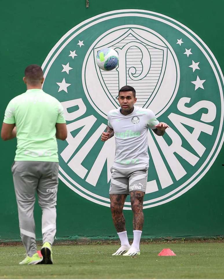 Jogador do Palmeiras tem 32 anos