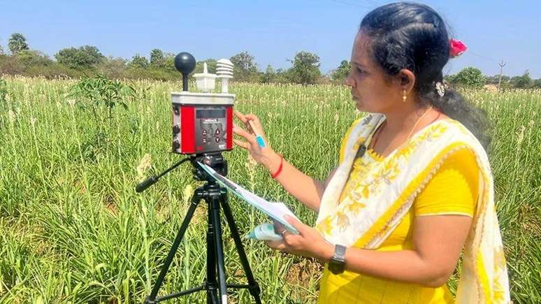 Rekha Shanmugam mede o calor diurno nos canaviais em Tiruvannamalai