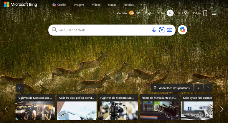 Apresentação da página inicial do Bing (Imagem: Captura de tela/Guilherme Haas/Canaltech) 