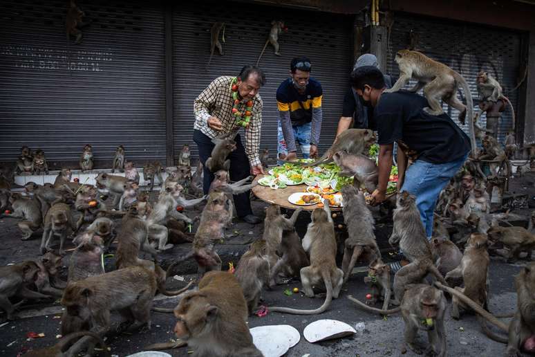 Anualmente, em Lopburi, ocorre o Festival dos Macacos, onde são servidas comidas a eles