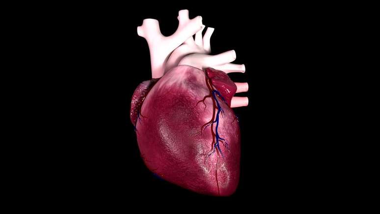 Vape faz mal ao coração e pode aumentar os riscos de insuficiência cardíaca (Imagem: Madi7779/Envato)