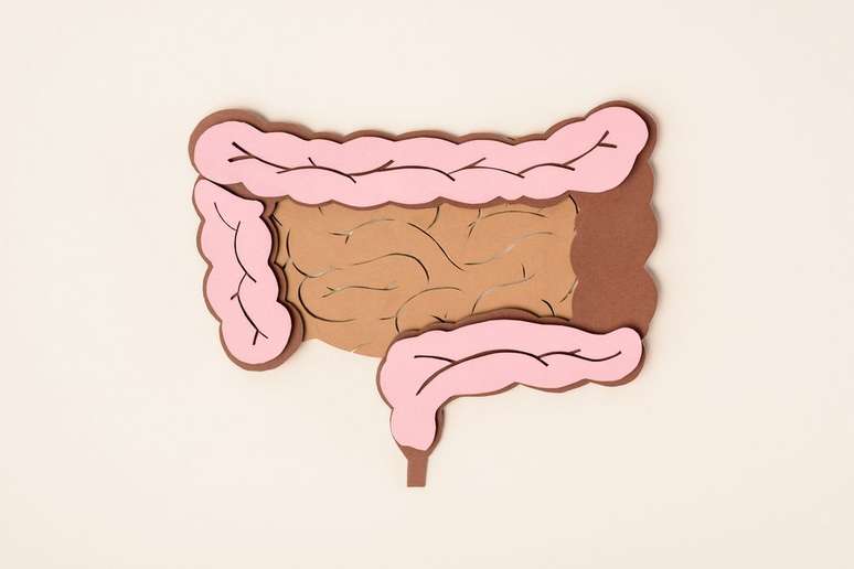 Bactérias que vivem na boca podem piorar casos de câncer colorretal (Imagem: LightFieldStudios/Envato)