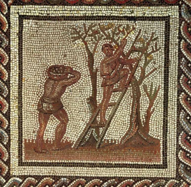 A fabricação romana de vinhos gerava um produto melhor do que se pensava — acreditar que eram ruins pela falta de técnicas modernas é mero preconceito com os antigos (Imagem: Musée Des Antiquités Nationales)
