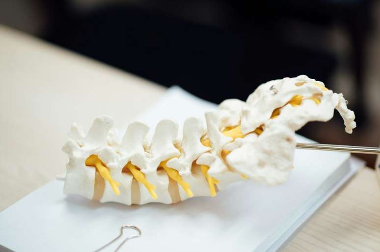 Sumsum tulang belakang dapat belajar secara mandiri, tanpa bantuan otak (Gambar: CHUTTERSNAP)