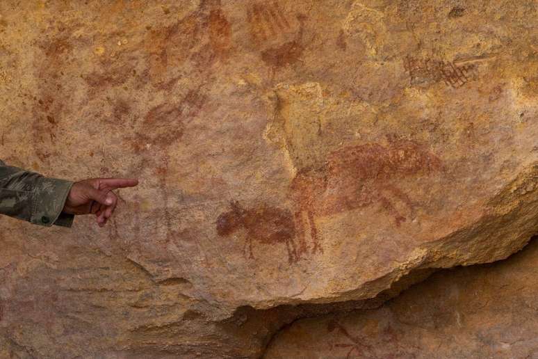 Pinturas rupestres encontradas na Caatinga revelam que seres humanos convivem com as antas há milhares de anos na região