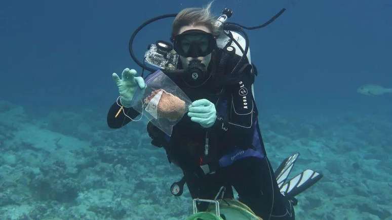 Cientistas, incluindo Jennifer McWhorter, monitoram os recifes de coral no mundo todo