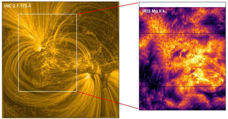 À esquerda, detalhe de um musgo solar; à direita, detalhes das raízes mais frias do musgo (Imagem: Reprodução/NASA/Bose et al./Creative Commons 4.0)