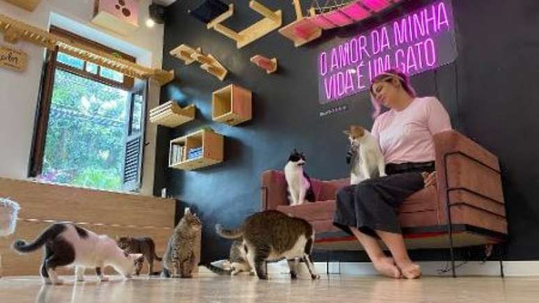 Giovanna Molinaro revela que mais de 550 de gatinhos já foram adotados no Gato Café.