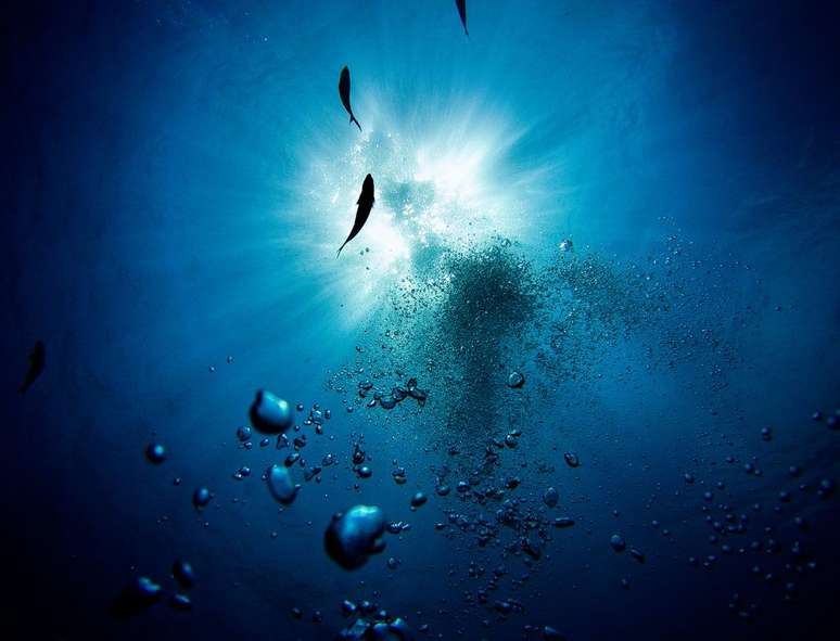 Pequenas criaturas do oceano, que compõem o fitoplâncton, reduzem os efeitos das ondas de calor (Imagem: Max Gotts/Unsplash)
