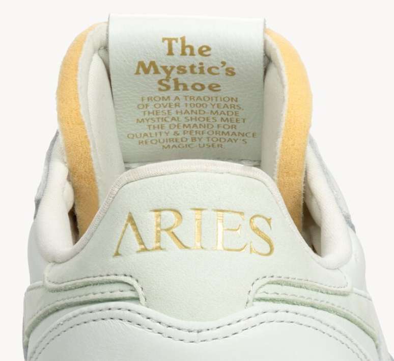 The Mistic's Shoe Classic Leather x Aries