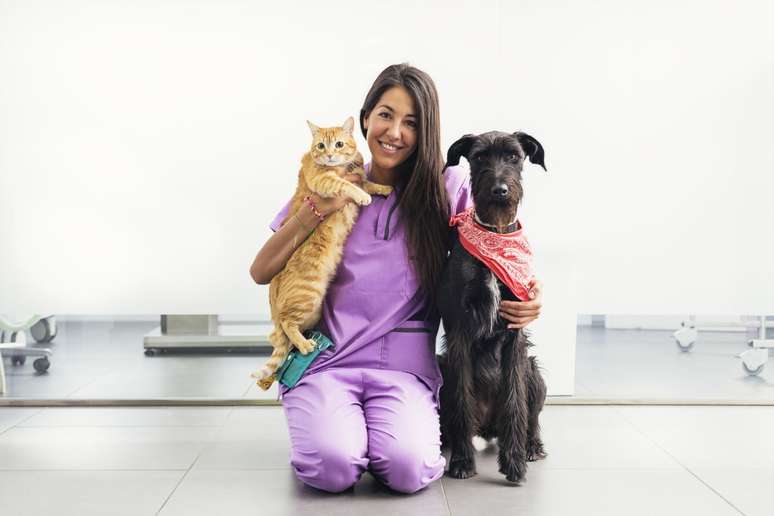 A castração ajuda a controlar a superpopulação de cães e gatos 