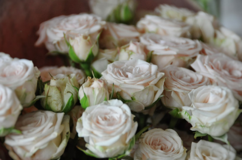 4. A rosa branca pode ser usada para criar arranjos com outras flores – Foto: Unsplash