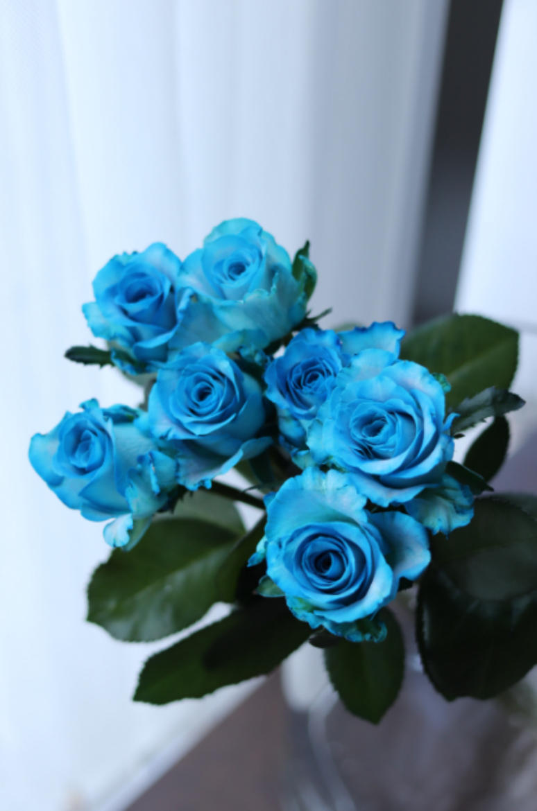 3. Rosas azuis são obtidas por meio de modificações genéticas ou coloração azul – Foto: Shutterstock