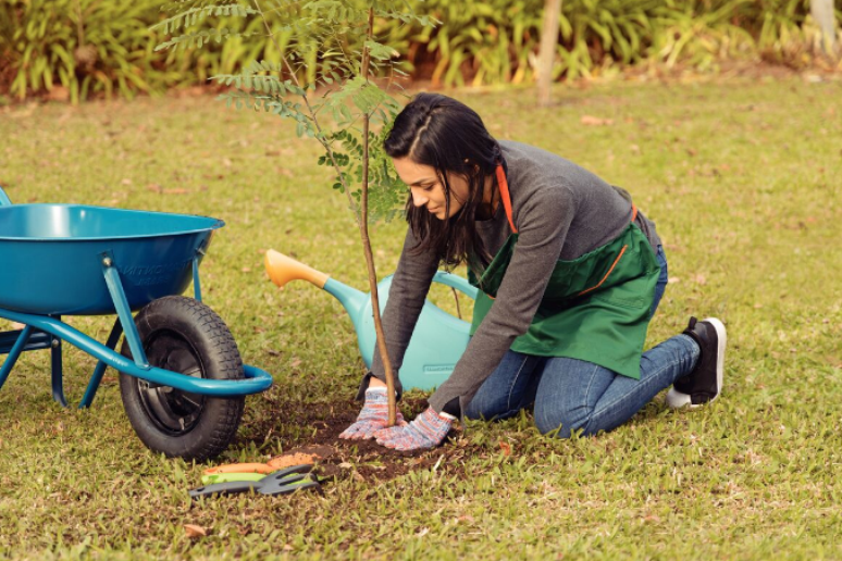 O paisagismo planeja e cria ambientes verdes em grande escala, incluindo design de elementos como lagos e canteiros, enquanto a jardinagem foca no cultivo e manutenção de plantas – Foto: Tramontina