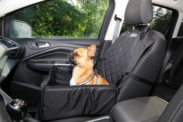 Os cachorros podem ser transportadas em assentos especiais fixados ao banco do carro