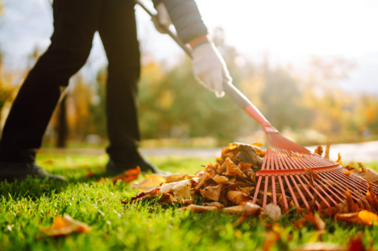 Ancinho ou rastelo é ideal para recolher folhas secas – Foto: Shutterstock