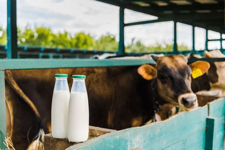 EUA encontram partículas virais da gripe aviária H5N1 em amostras de leite cru, enquanto investiga o leite pasteurizado (Imagem: LightFieldStudios/Envato)