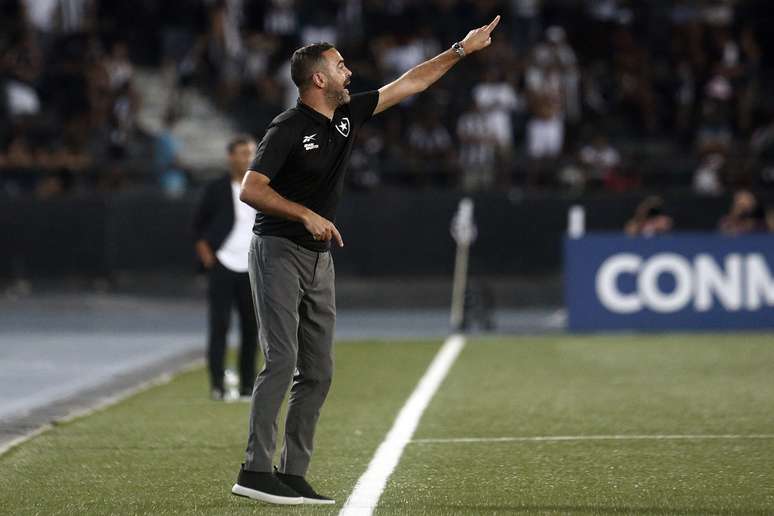 Botafogo vence e volta para a disputa da libertadores
