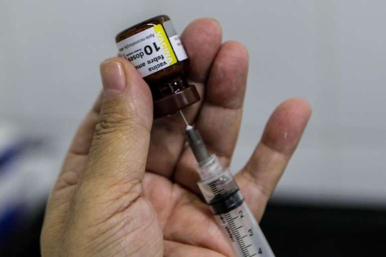 A vacinação é a principal forma de prevenção contra a febre amarela.