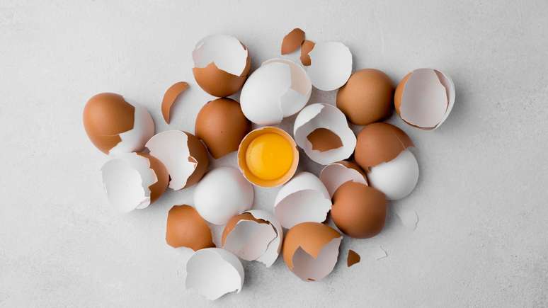 Especialistas revelam qual o ovo mais saudável