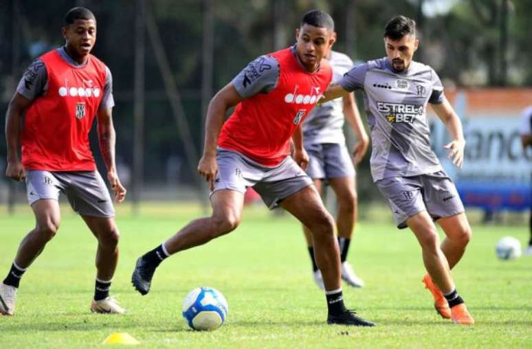 Grêmio X Ponte Preta: Saiba Onde Assistir, Possíveis Escalações🦔 ...