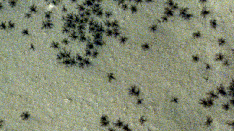 As curiosas "aranhas" de dióxido de carbono (Imagem: Reprodução/ESA/DLR/FU Berlin/ESA/TGO/CaSSIS)