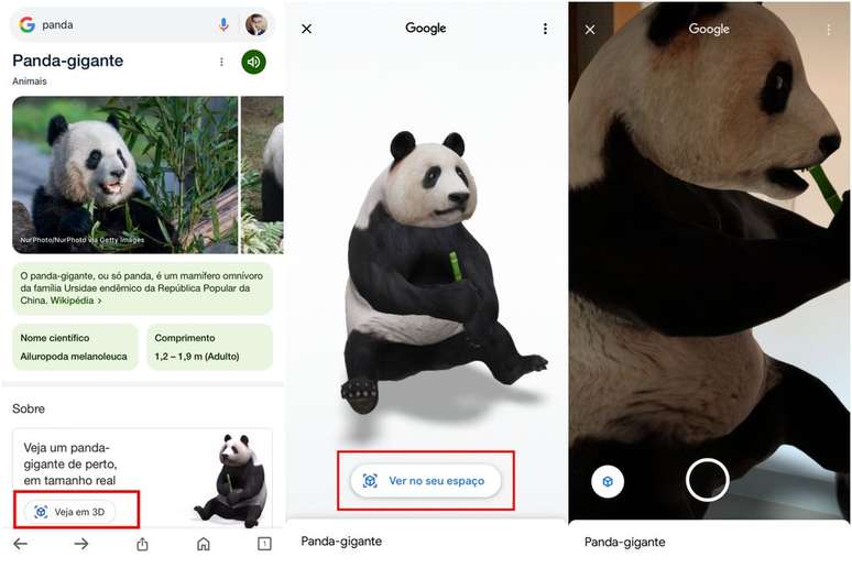 Panda gigante é um dos animais ainda disponíveis na experiência de visualização em 3D e realidade aumentada pela Busca do Google (Imagem: Captura de tela/Guilherme Haas/Canaltech)
