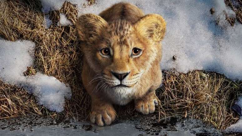 Filme mostrará como Mufasa se transformará no Rei Leão que conhecemos — e mostrando que Scar era realmente o verdadeiro herdeiro do trono (Imagem: Divulgação/Disney)