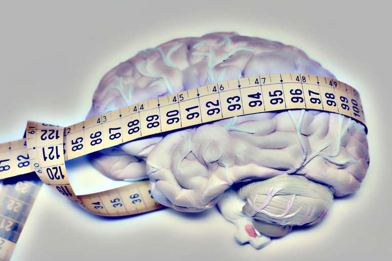 Segundo medições de pesquisadores, cérebros de gerações mais jovens tinham, em média, volumes 6,6% maiores