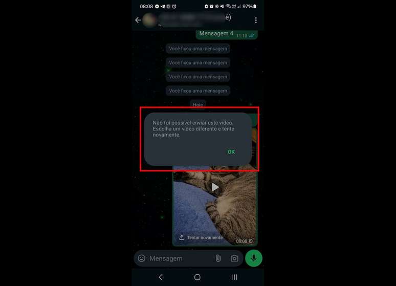 Mensagem de erro ao tentar enviar vídeo no WhatsApp versão 2.24.9.33 Beta (Imagem: Captura de tela/Douglas Ciriaco/Canaltech)