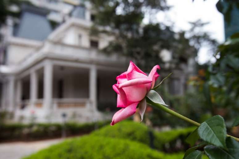 Casa das Rosas está entre os museus que funcionam no feriado