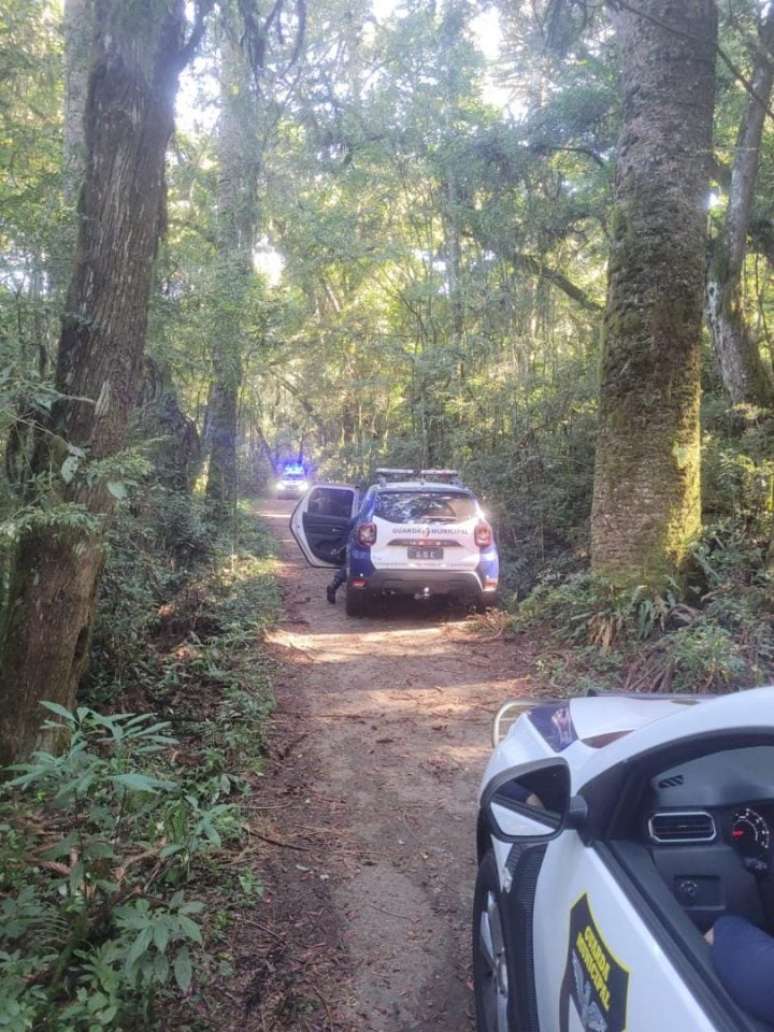 Man&iacute;aco do Parque Barigui: homem &eacute; surpreendido por suspeito armado com fac&atilde;o durante colheita de pinh&atilde;o em trilha