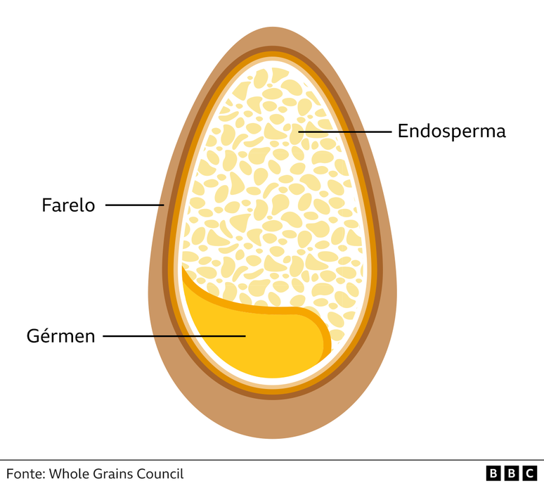 Roti gandum dibuat dengan tepung yang digiling dari biji gandum utuh, sedangkan roti tawar dibuat hanya dengan menggunakan endosperma biji-bijian.