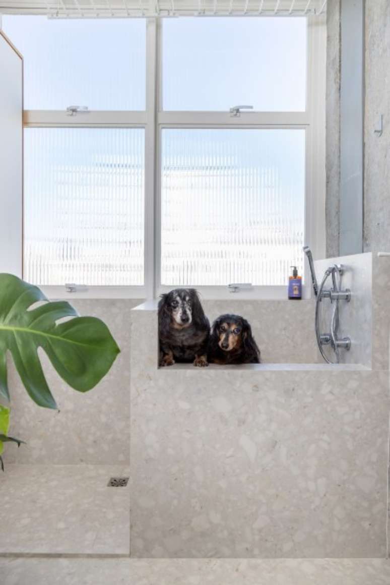Evelyn Muller/Divulgação / Casa.com