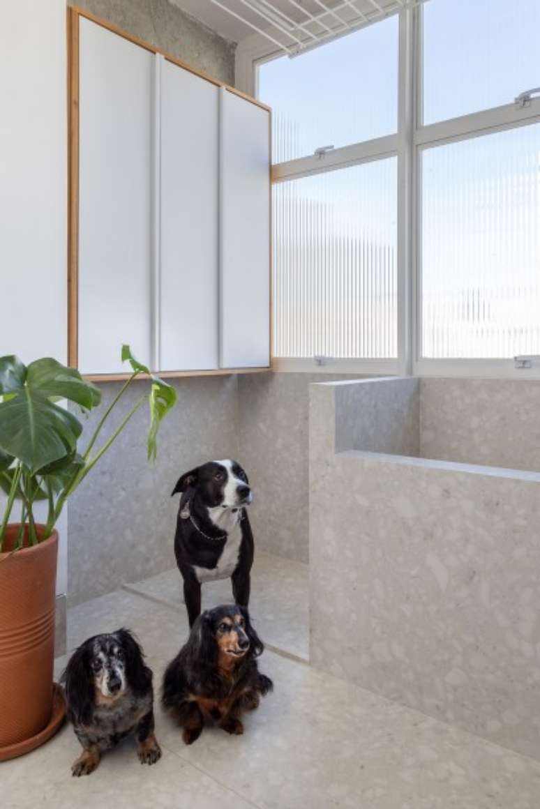 Evelyn Muller/Divulgação / Casa.com