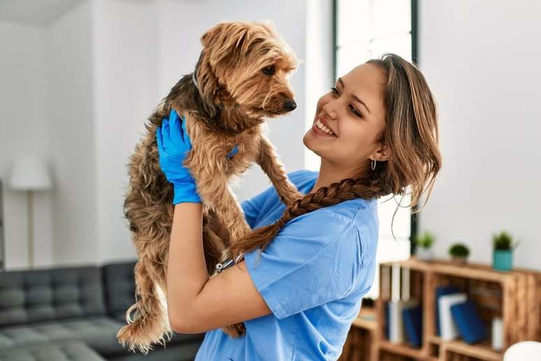 Comportamentos incomuns indicam que os animais de estimação precisam visitar o veterinário