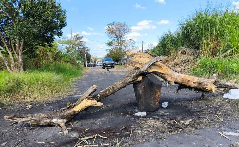 Criminosos utilizam galhos, troncos e manilhas para dificultar acesso da polícia –